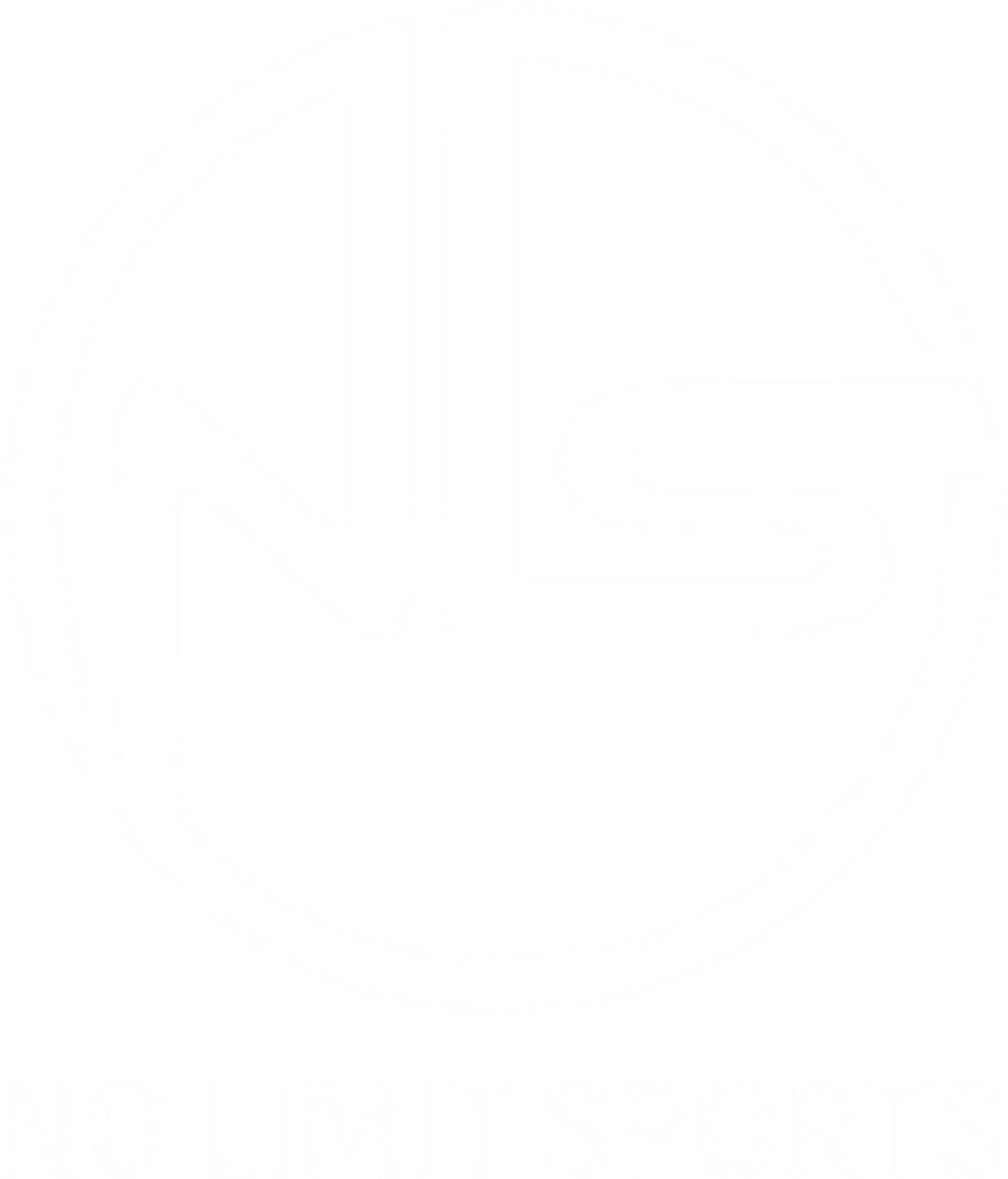 No Limit Sports Academy | undefined Logo